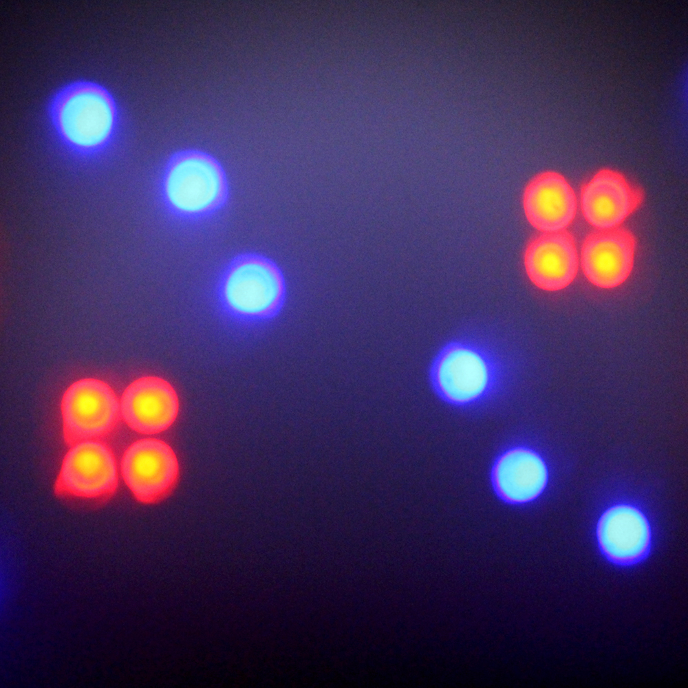 Beamz Twin LED Moonflower Strobe Light Music Controlled DJ Lighting