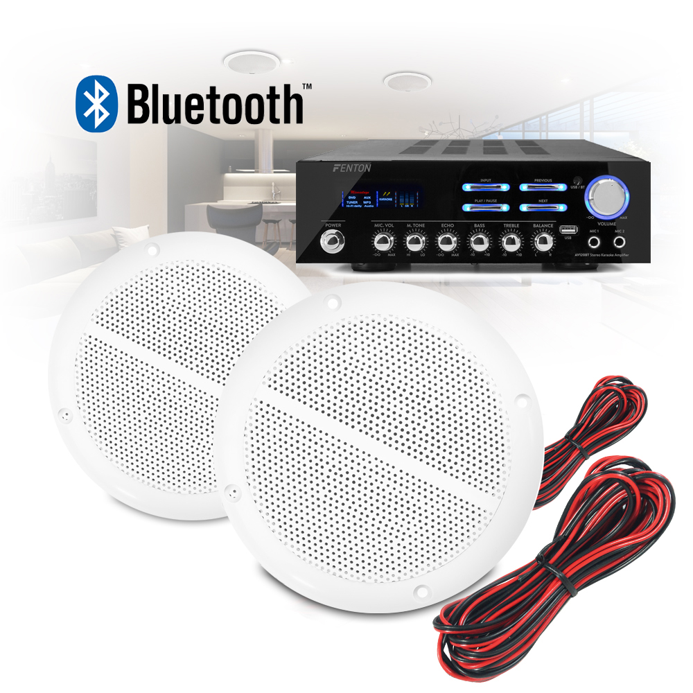 ceiling stereo system